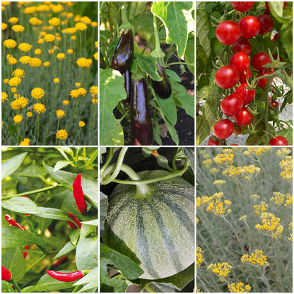 SÉLECTION "POTAGER ARDENT"