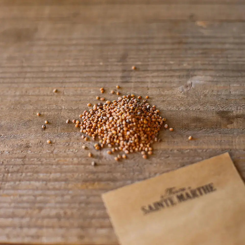 RADIS NATIONAL 2 AB - ANTIGASPI