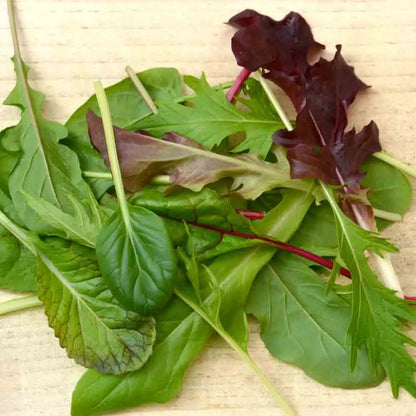 RUBAN 3 M MESCLUN ORIENTAL AB 