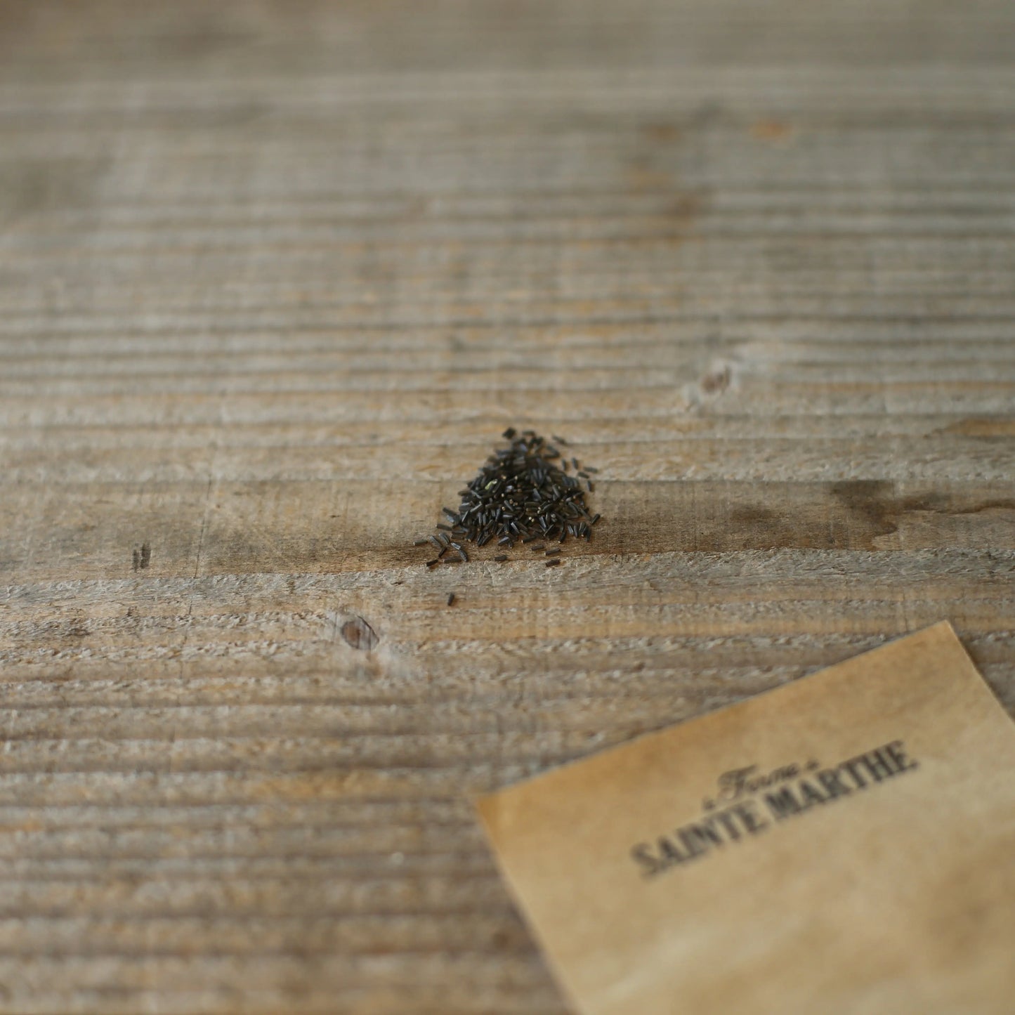 RUDBECKIA GLORIOSA DAISY VARIE NT 