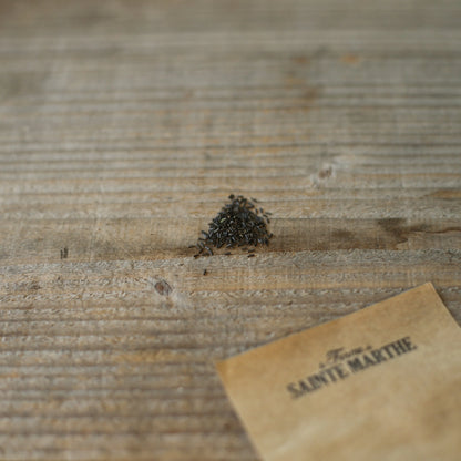 RUDBECKIA GLORIOSA DAISY VARIE NT 