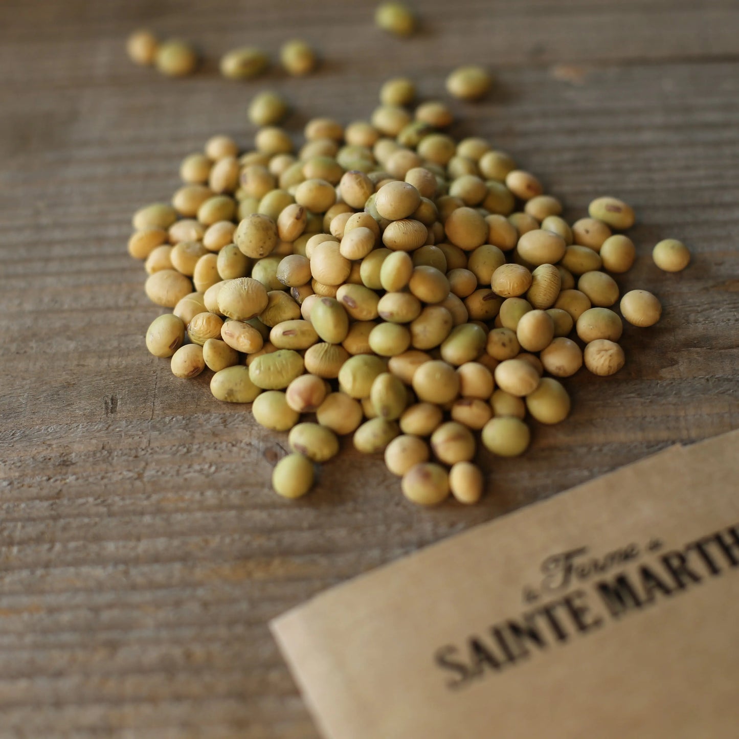 SOJA EDAMAME CHIBA GREEN AB 