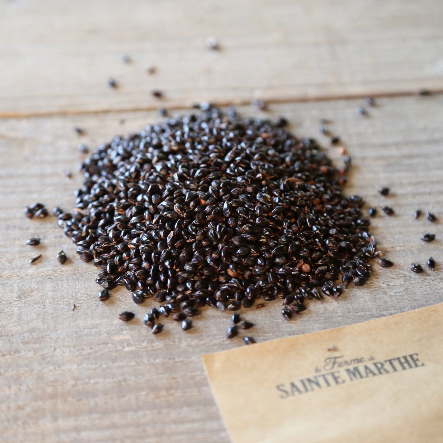 SORGHO OU MILLET NOIR NT 