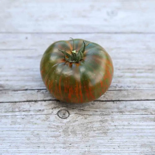 TOMATE CHOCOLATE STRIPES AB 