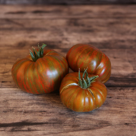 TOMATE CHOCOLATE STRIPES AB