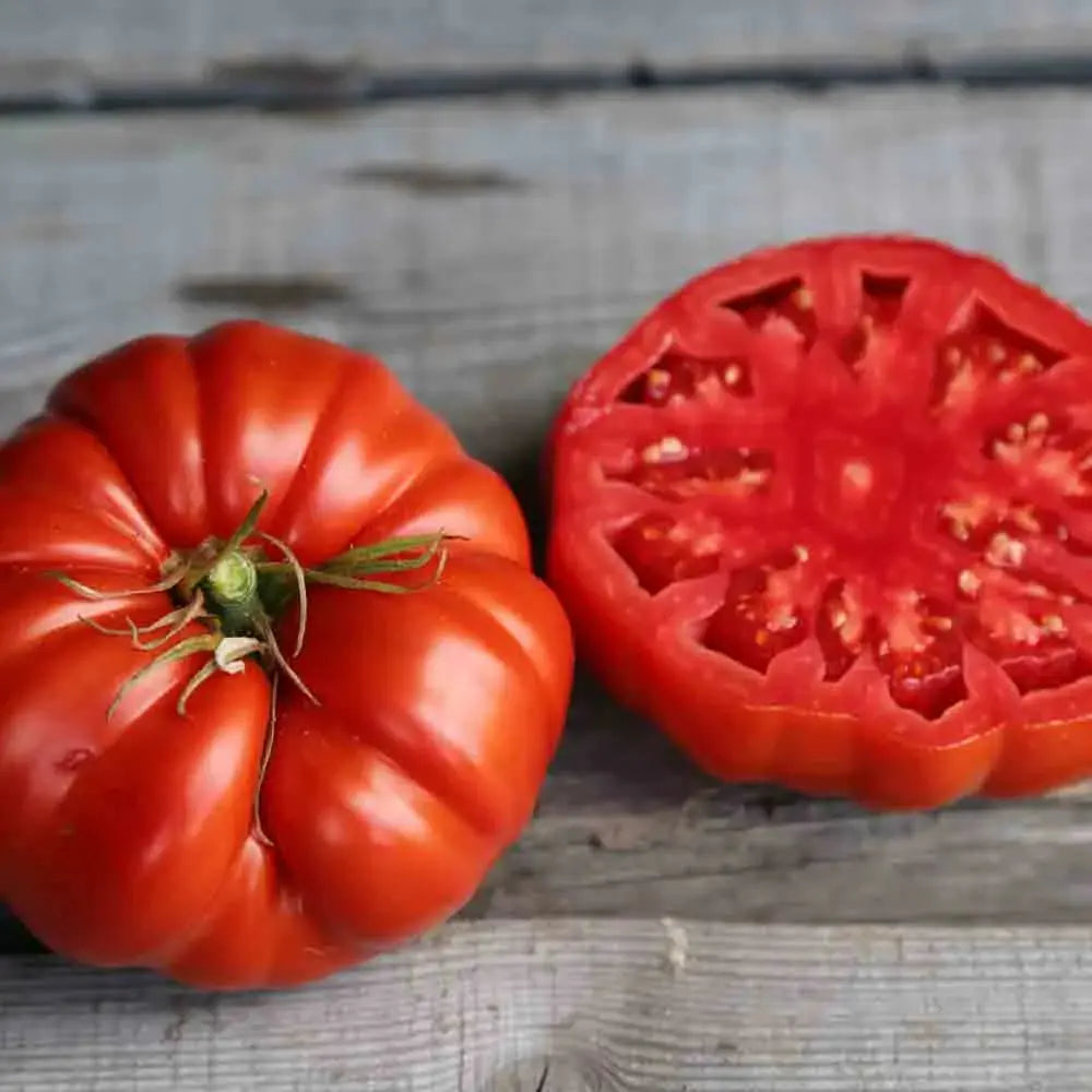 TOMATE COUILLES DE TAUREAU AB 