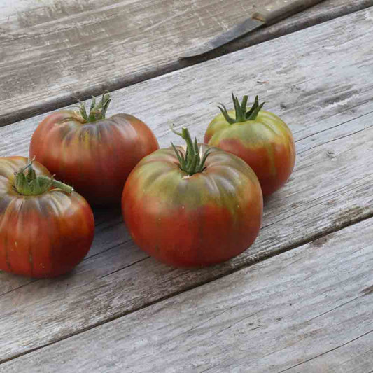TOMATE NOIRE DE CRIMEE AB 
