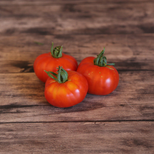 TOMATE-REDFIELD-BEAUTY-AB