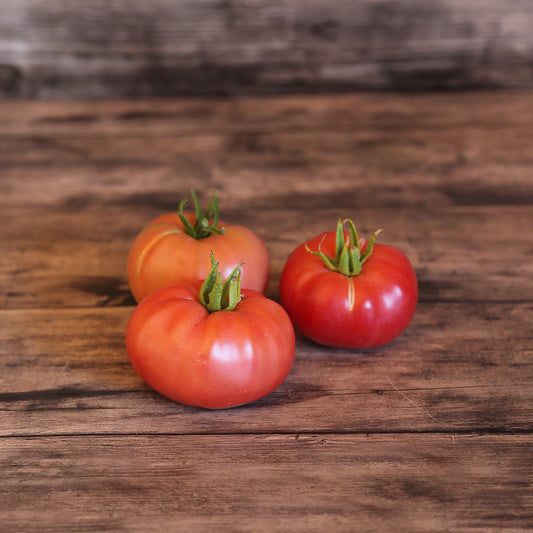 TOMATE TRIOMPHE DE LIEGE AB