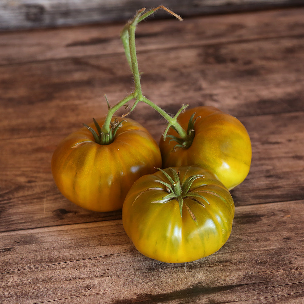 TOMATE EVERGREEN AB 