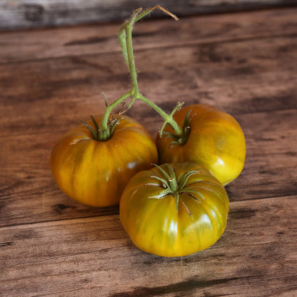TOMATE EVERGREEN AB 