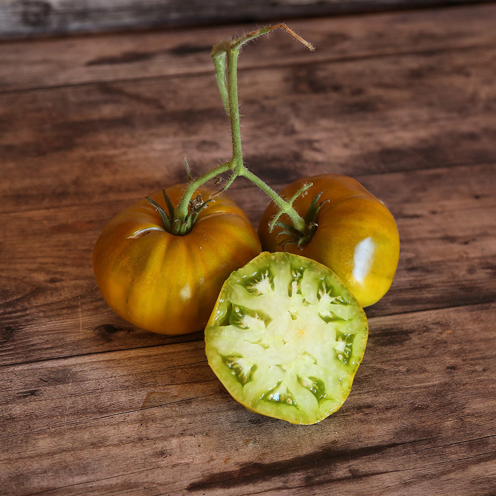 TOMATE EVERGREEN AB 