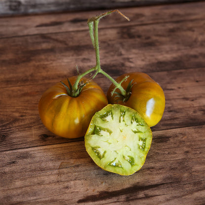 TOMATE EVERGREEN AB 