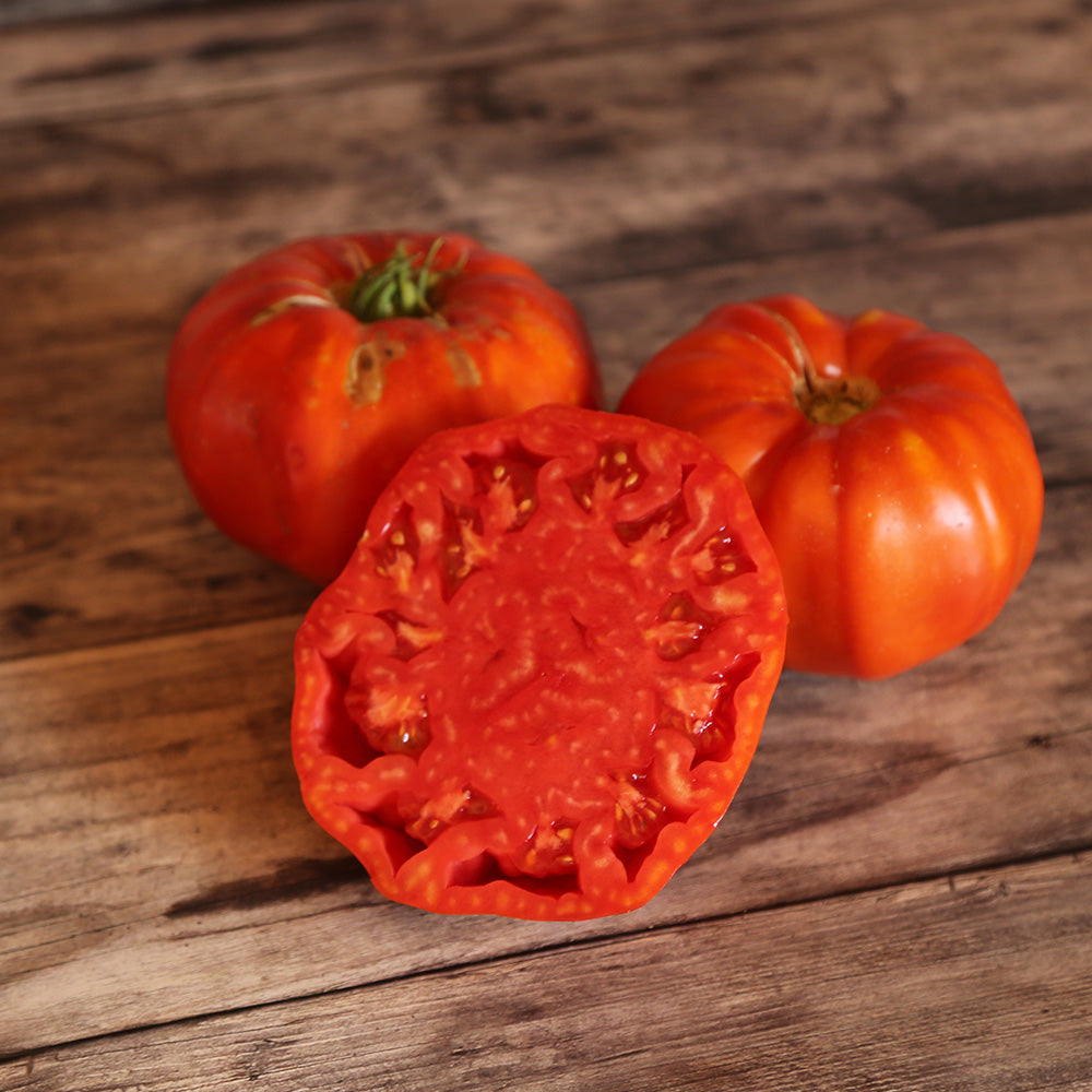 TOMATE COUILLES DE TAUREAU AB 