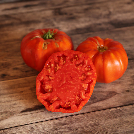 TOMATE COUILLES DE TAUREAU AB 