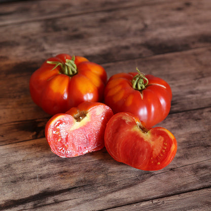 TOMATE MARMANDE AB 