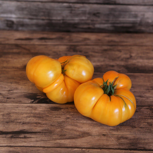TOMATE SUMMER CIDER AB