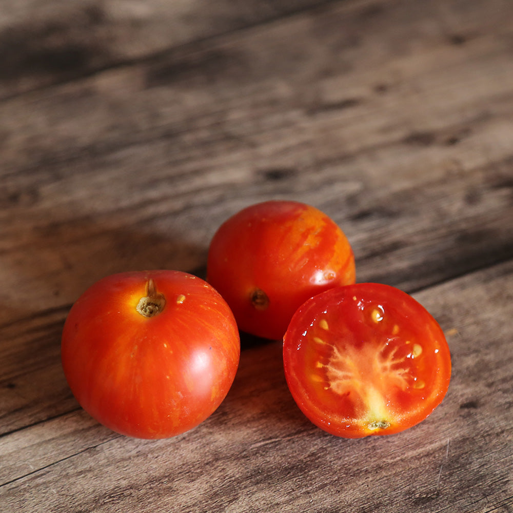 TOMATE TIGRELLA BICOLORE AB 