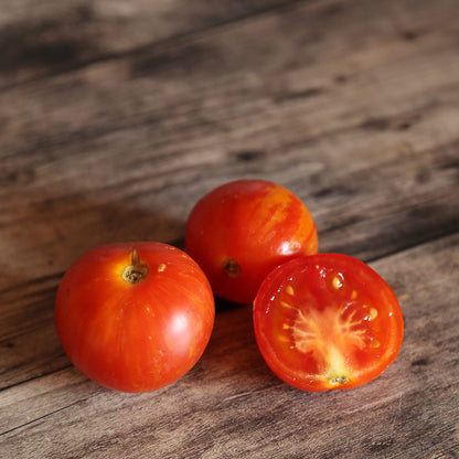 TOMATE TIGRELLA BICOLORE AB 