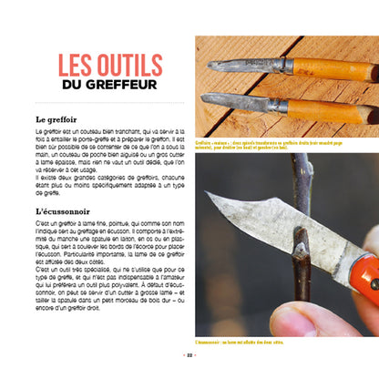 J´APPRENDS A GREFFER MES ARBRES FRUITIERS 