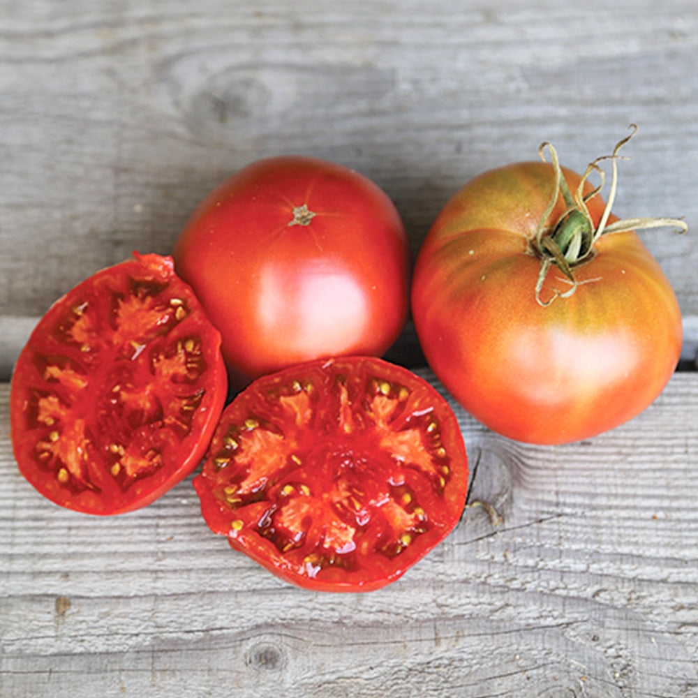 TOMATE NOIRE DE CRIMEE AB 