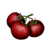 Graines de tomates