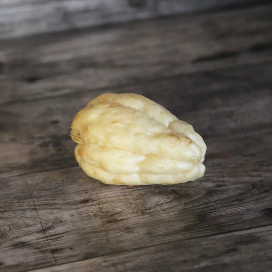 Tubercules de christophine blanche – La Ferme de Sainte Marthe