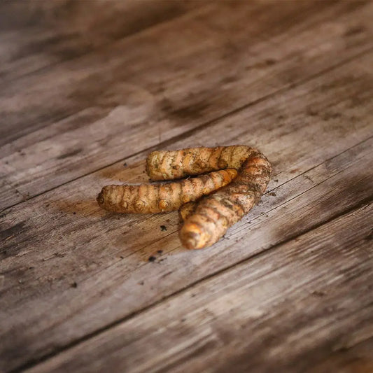 Rhizome de curcuma bio – La Ferme de Sainte Marthe