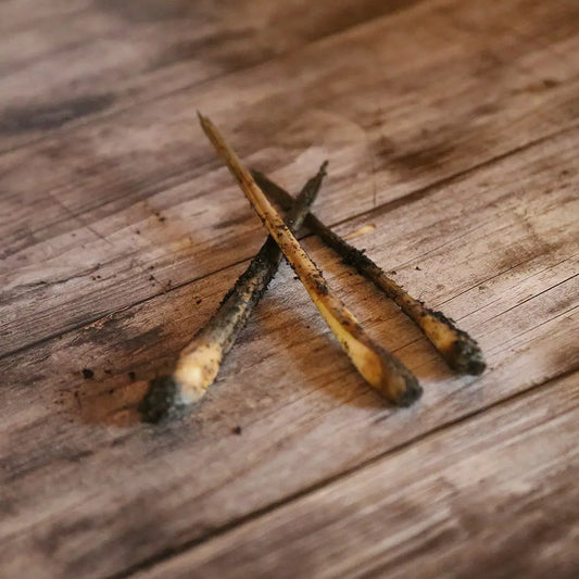 Rhizome de lemongrass ou citronnelle – La Ferme de Sainte Marthe