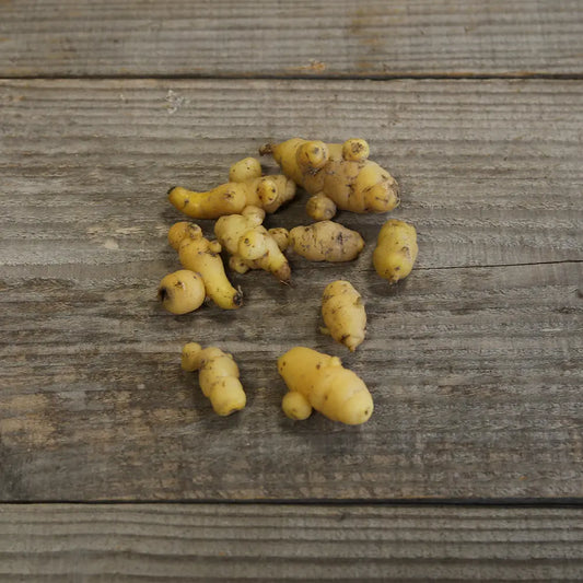 Tubercules d'oca du pérou jaune bio – La Ferme de Sainte Marthe