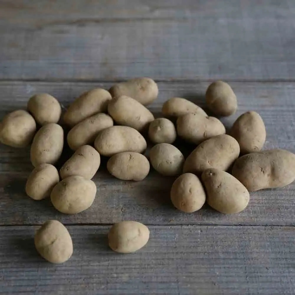 Tubercules de pomme de terre émeraude – La Ferme de Sainte Marthe