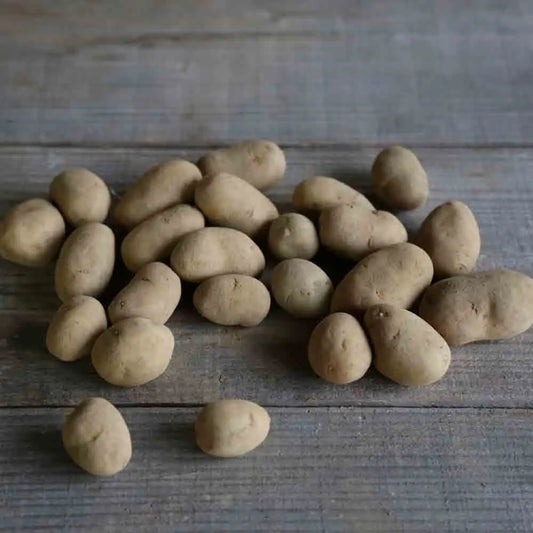 Tubercules de pomme de terre émeraude – La Ferme de Sainte Marthe