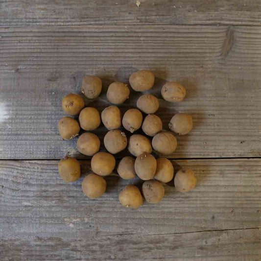 Tubercules de pomme de terre griotte® (variété jacky) – La Ferme de Sainte Marthe