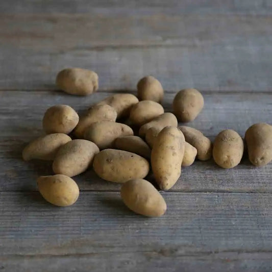 Tubercules de pomme de terre minette bio – La Ferme de Sainte Marthe