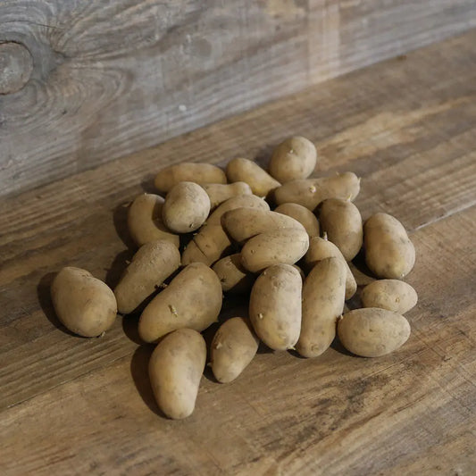 Tubercules de pomme de terre nawen® (variété maldive) – La Ferme de Sainte Marthe