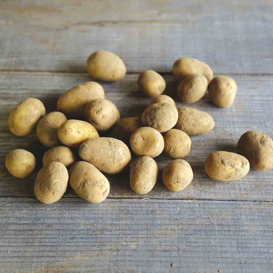 Tubercules de pomme de terre penni grenaille primeur – La Ferme de Sainte Marthe