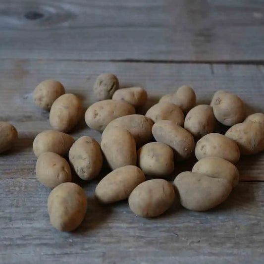 Tubercules de pomme de terre twinner bio – La Ferme de Sainte Marthe