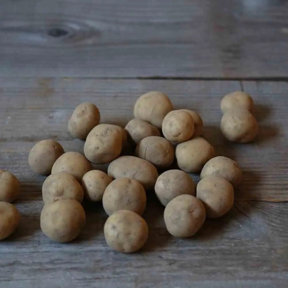 Tubercules de pomme de terre twister bio – La Ferme de Sainte Marthe