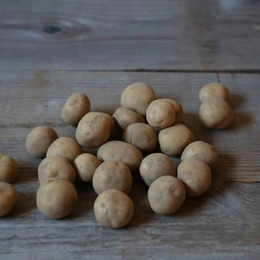 Tubercules de pomme de terre twister bio – La Ferme de Sainte Marthe