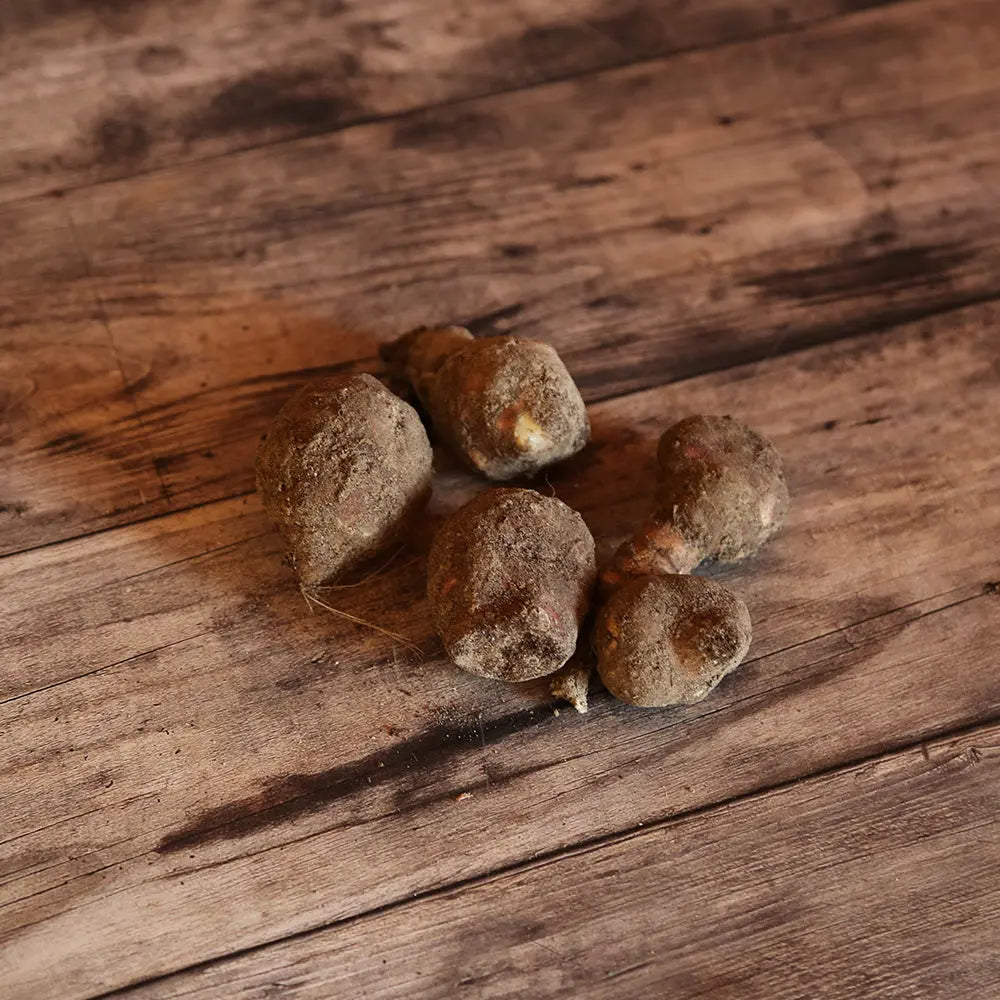 Tubercules de topinambour sakalinsky rouge – La Ferme de Sainte Marthe