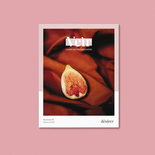VEIR MAGAZINE -  n°15 Désirer 