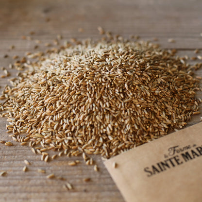 VESCE DE PRINTEMPS AB 150 g 