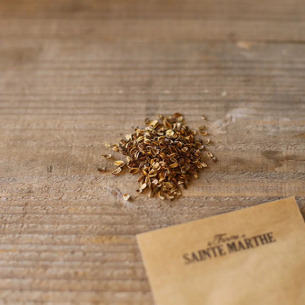 Graines d'ache des montagnes livèche ou céleri perpétuel bio – La Ferme de Sainte Marthe