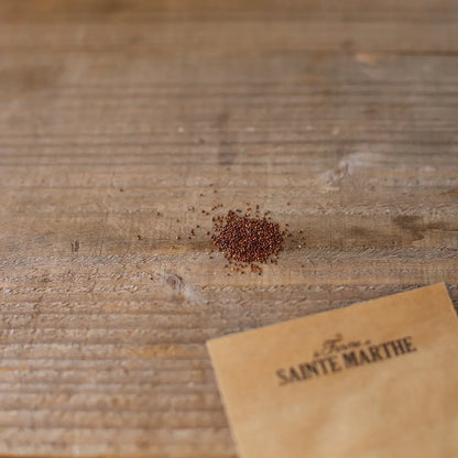Graines d'agastache anisée bio – La Ferme de Sainte Marthe