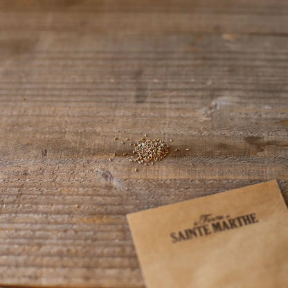 Graines d'ammi bio – La Ferme de Sainte Marthe