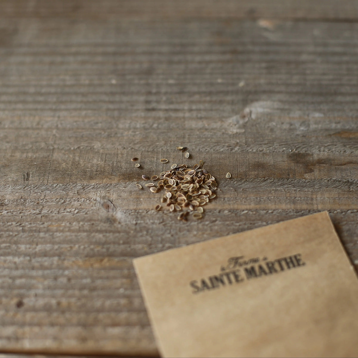 Graines d'aneth bio – La Ferme de Sainte Marthe