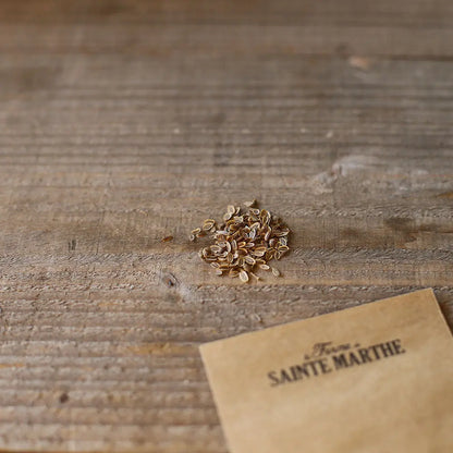 Graines d'aneth bio – La Ferme de Sainte Marthe