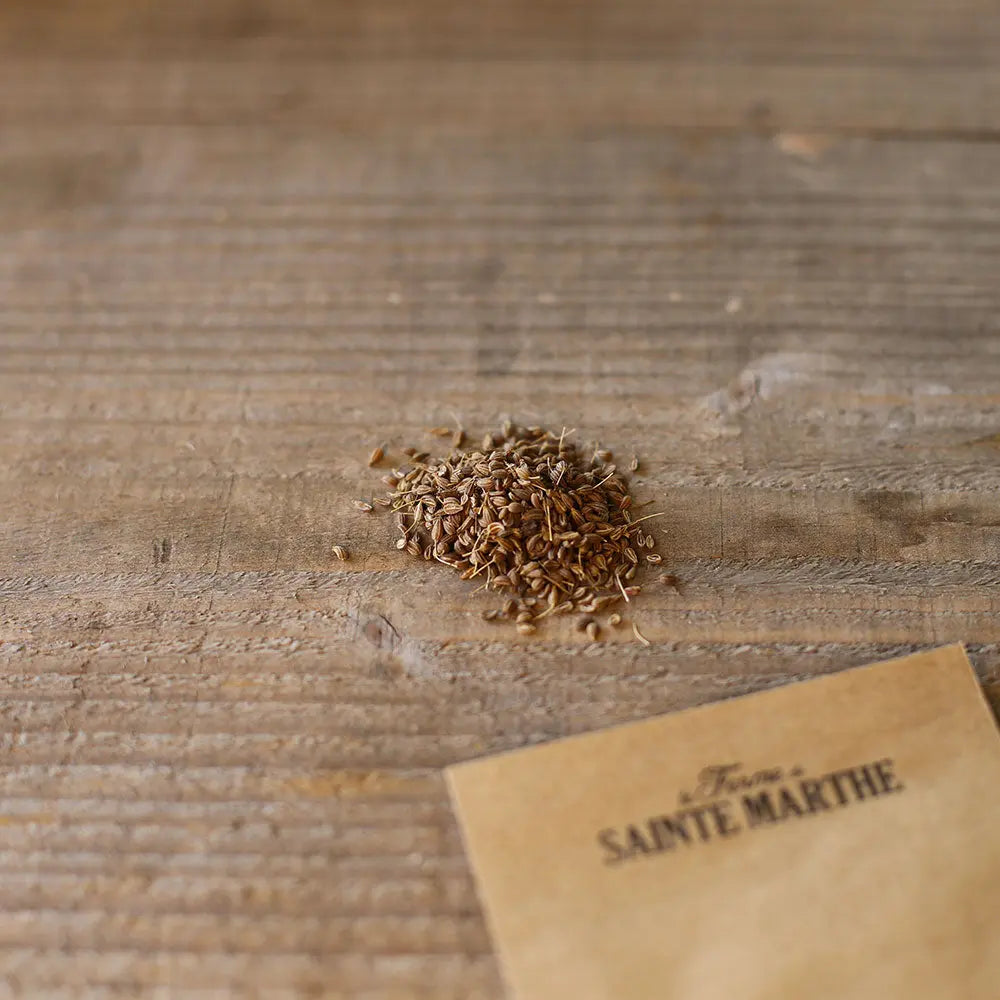 Graines d'anis vert bio – La Ferme de Sainte Marthe