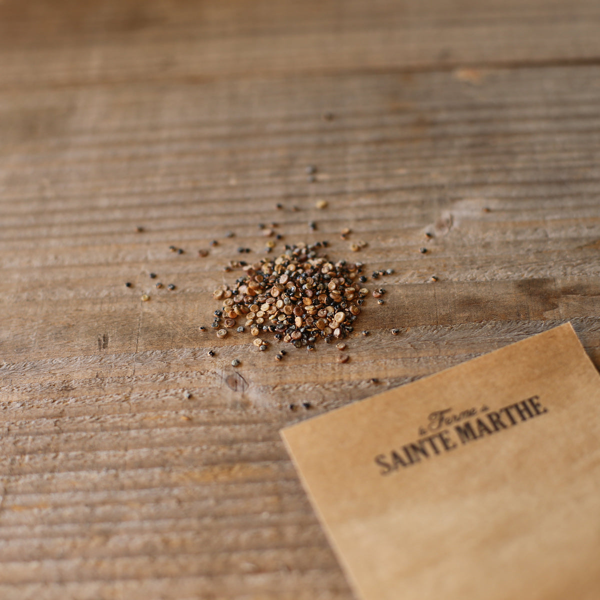 Graines d'arroche bio – La Ferme de Sainte Marthe