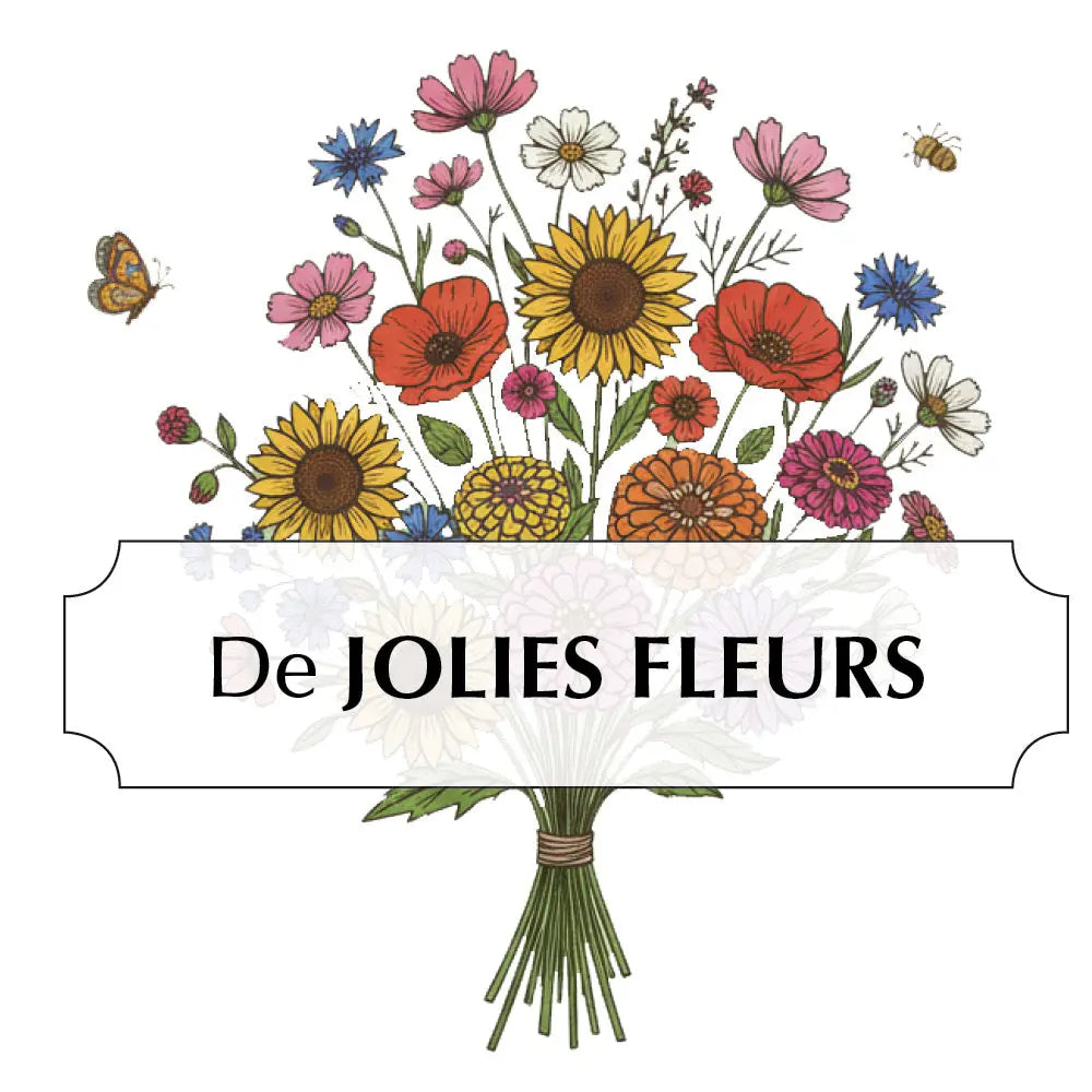 Assortiment de graines de jolies fleurs – La Ferme de Sainte Marthe